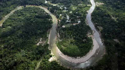 Brazil: Brazil reports drop in Amazon deforestation rates, pushing back on US tariff accusations