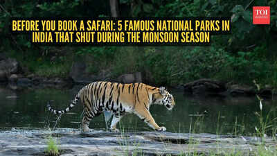 National Parks In India: Before you book a safari: 5 famous national parks in India that shut during the monsoon season