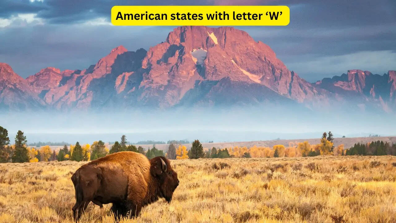 There are only 4 American states that begin with the letter ‘W’, and they hide some of the world’s most iconic wonders