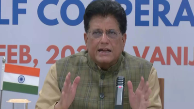 Global Trade: Countries protecting domestic industries, India no exception: Piyush Goyal on global trade