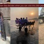 “The Arabian Sea decides when you can visit this 350-year-old fort”; why this Alibag fort is one of the most fascinating heritage sites in Maharashtra