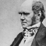 Quote of the day by Charles Darwin: “An American monkey, after getting drunk on brandy, would never touch…” – a witty observation on why humans often repeat the mistakes they already know can harm them | Quote of the day by Charles Darwin: “An American monkey, after getting drunk on brandy, would never touch…” – a witty observation on why humans often repeat the mistakes they already know can harm them |