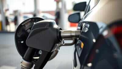 ‘No such proposal for exporting E20 petrol’: Centre dismisses Bhutan E20 rejection claims
