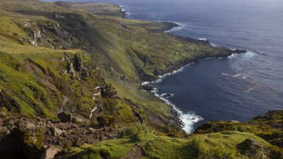 Six helicopters will drop 550 tons of poison on this island: Why a project is spending  million on this exercise |