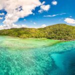 In 1987, a British naturalist became the first professional warden of a remote Seychelles island; a year later 29 endangered warblers were moved there and established a new population In 1987, a British naturalist became the first professional warden of a remote Seychelles island; a year later 29 endangered warblers were moved there and established a new population