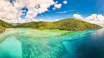 In 1987, a British naturalist became the first professional warden of a remote Seychelles island; a year later 29 endangered warblers were moved there and established a new population
