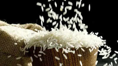 India’s rice bowl gets global audience as 3,317 buyers sign up for BIRC 2026